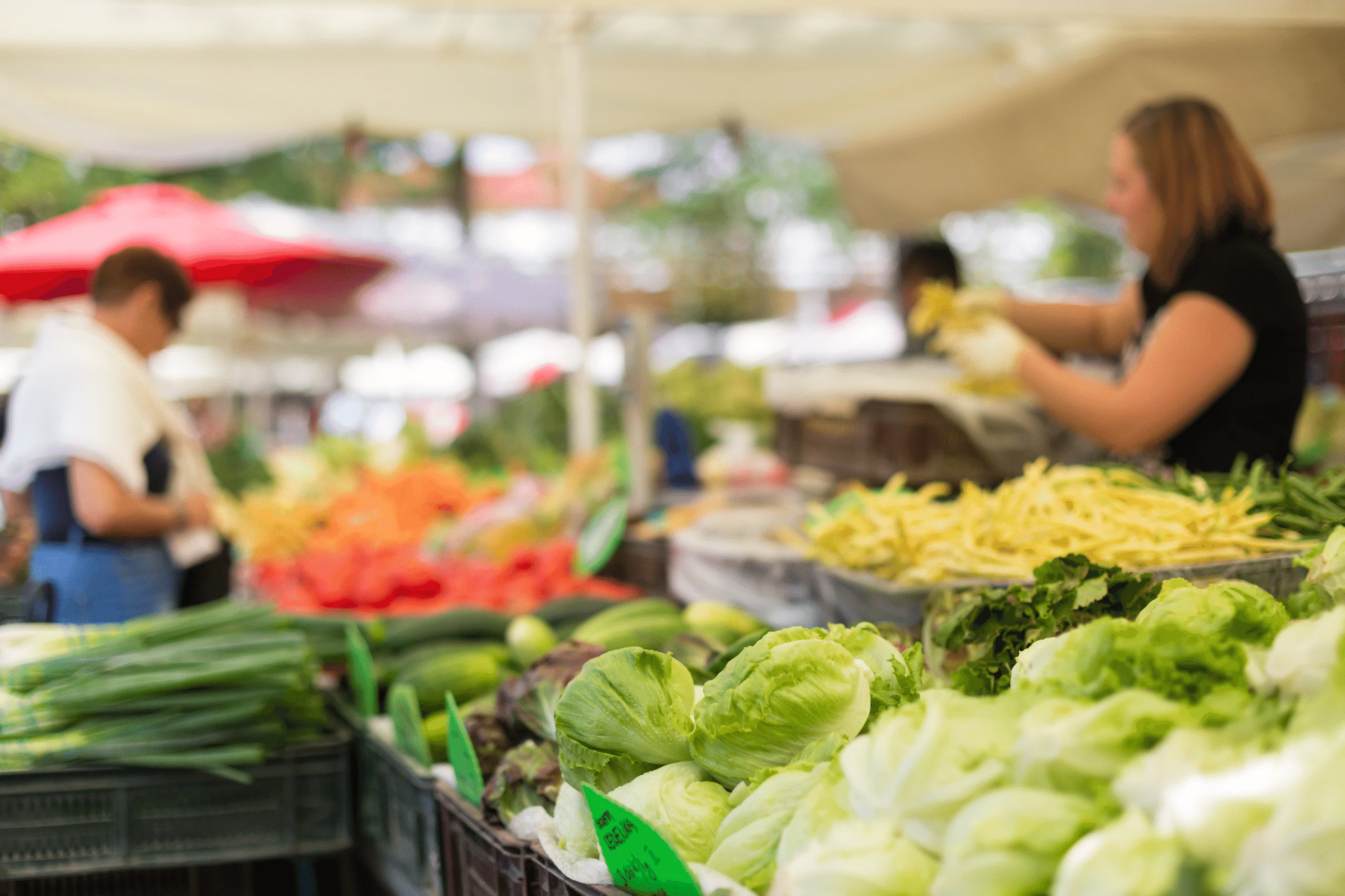 Bastrop Farmers Market