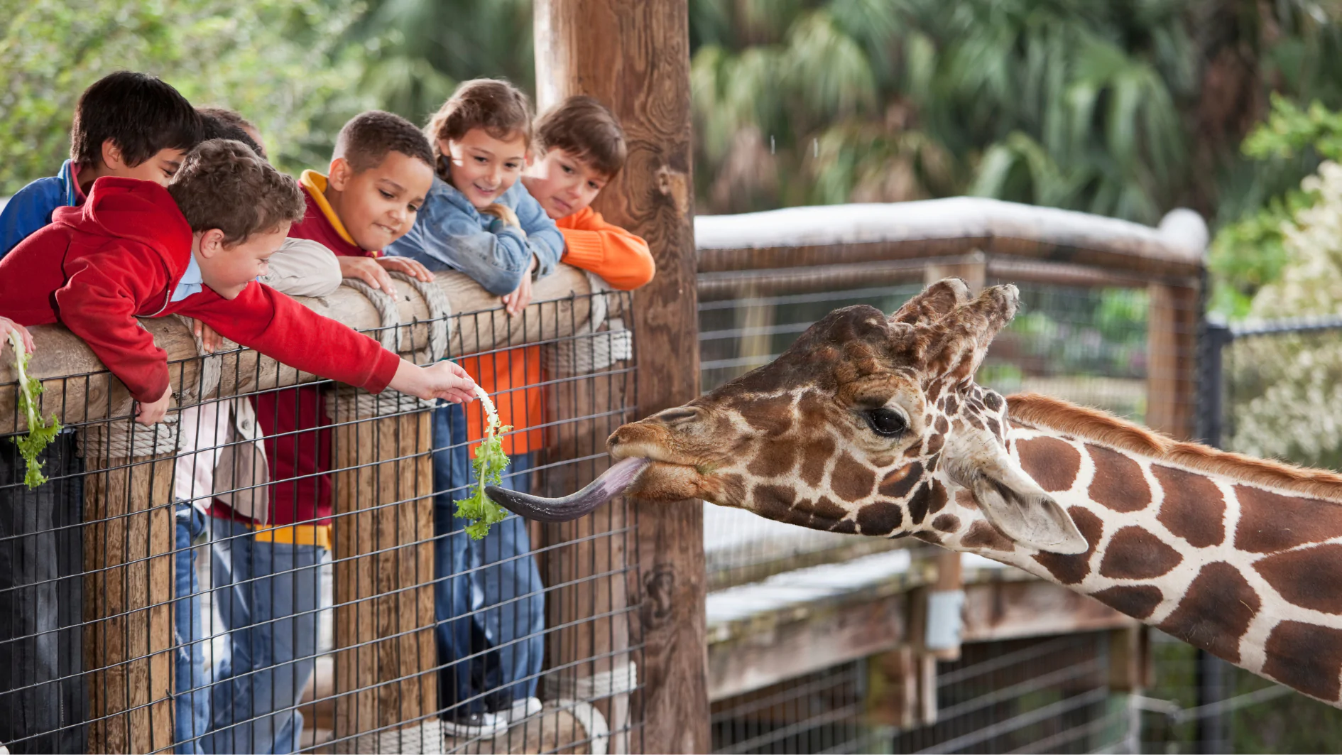 Family Fun for Spring Break Near The Colony
